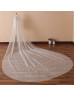 Ivory Star Tulle Wedding Veil Long Sparkly Cathedral Veil Cut Edge Veil